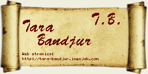 Tara Banđur vizit kartica